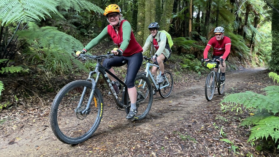 Timber Trail