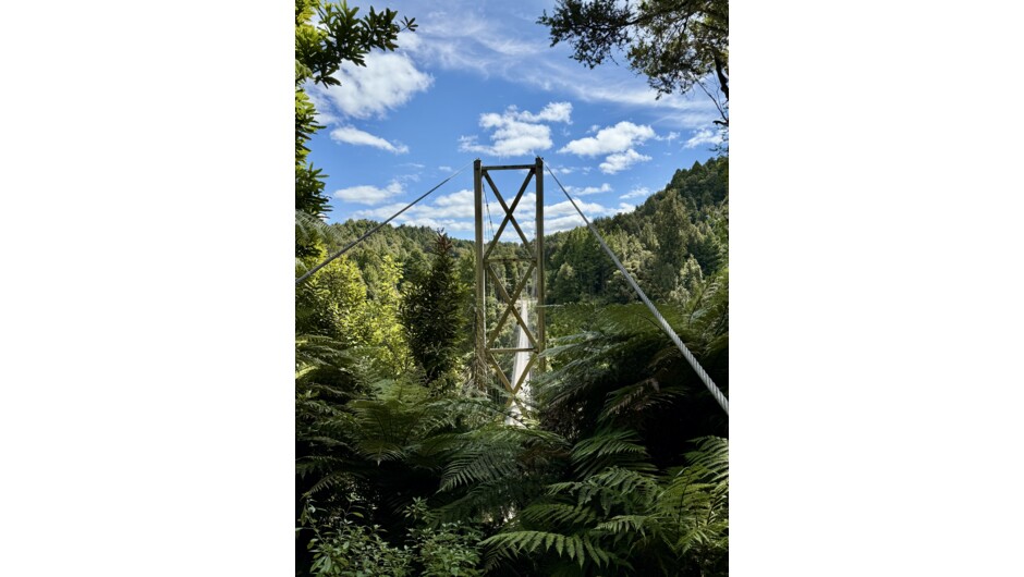 Suspension Bridge (141 metres long), Timber Trail