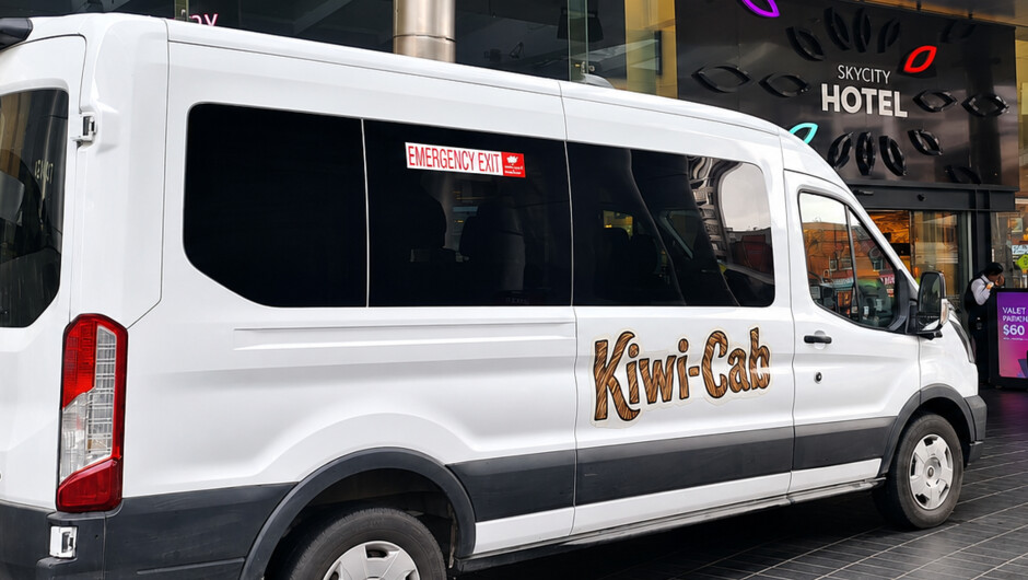 Wild Kiwi Spotting Encounter Auckland