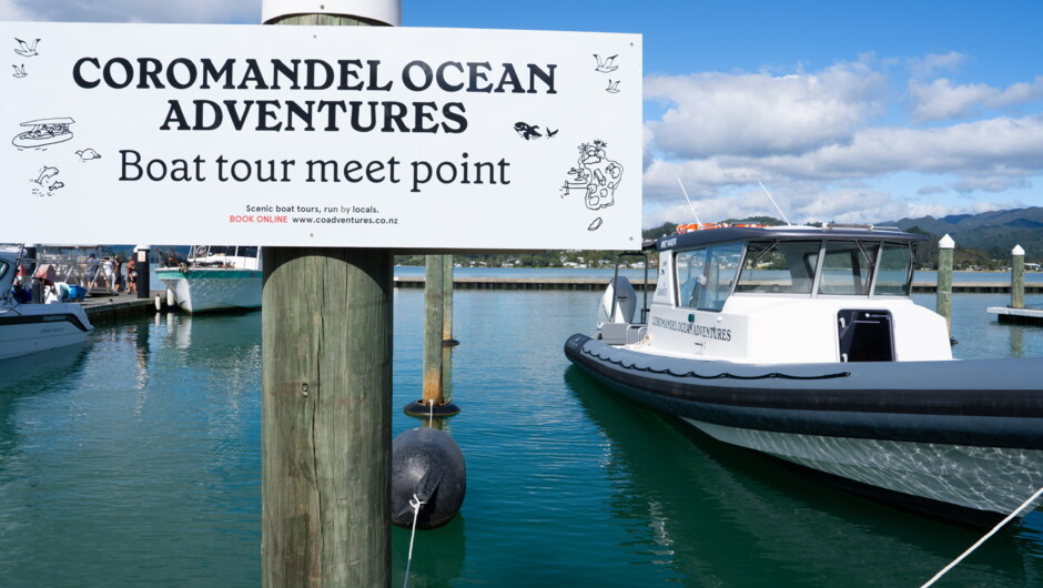 Coromandel Ocean Adventures