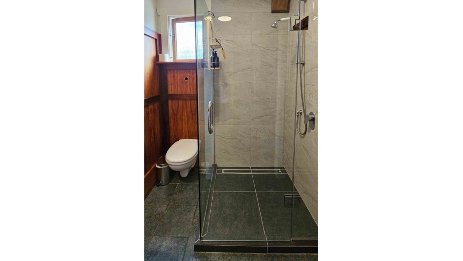 Private ensuite bathroom with a generous walk-in shower.