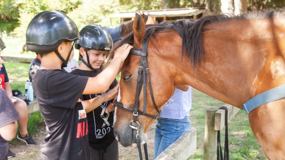 Horse riding.