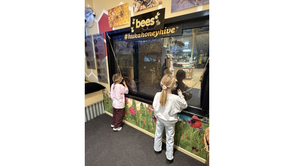 Children enjoy looking at the live beehive display at the Huka Honey Hive.