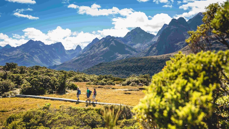 Fiordland Walks with Auswalk Walking Holidays