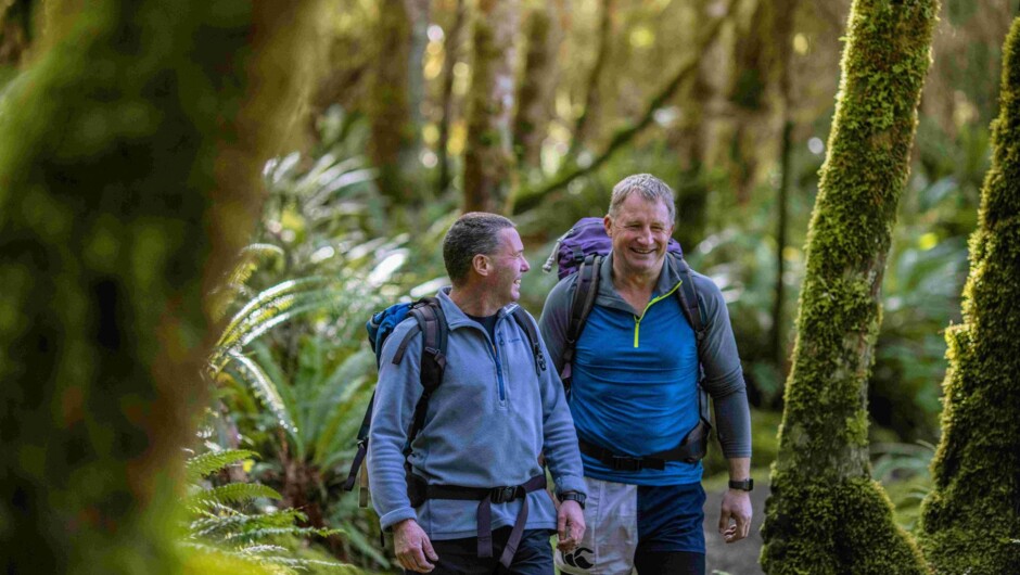 Fiordland's Great Walks self-guided walking holiday