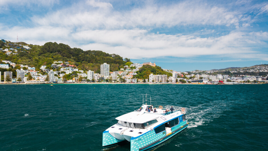 Ika leaving Wellington Harbour
