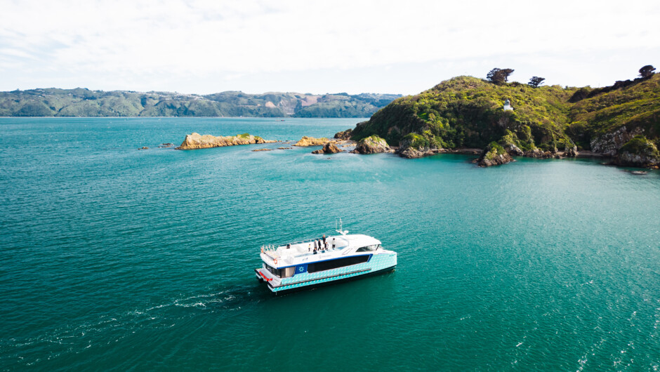 Ika by Matiu Island
