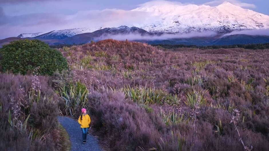 Tongariro National Park