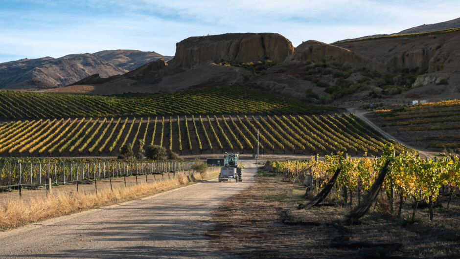 Mt Difficulty rugged rock landscape and vineyards