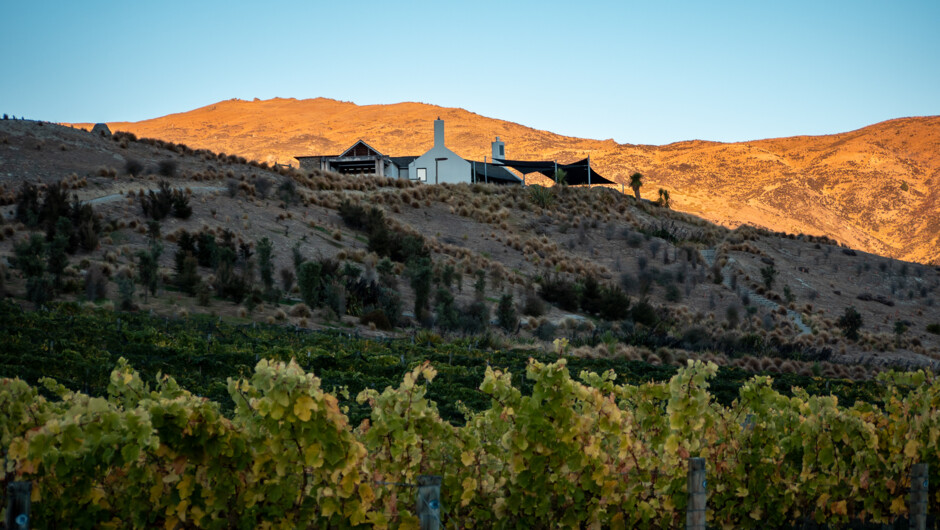Mt Difficulty Restaurant &amp; Cellar Door stunning location with panoramic views