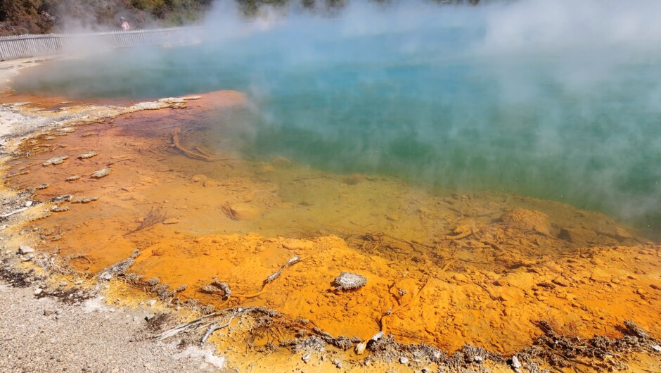 Champagne Pool