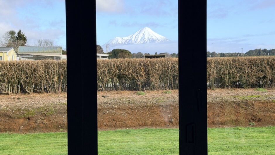 View from inside Peachy’s living room