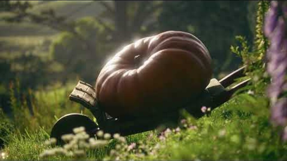 Hobbiton™ Movie Set