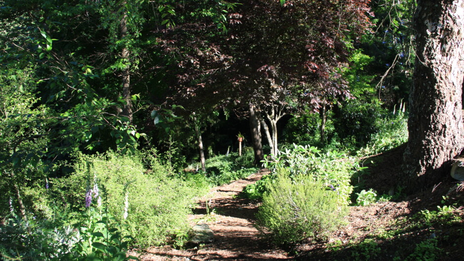 Wander the pathways through cottage areas, native areas, large trees and rock gardens.