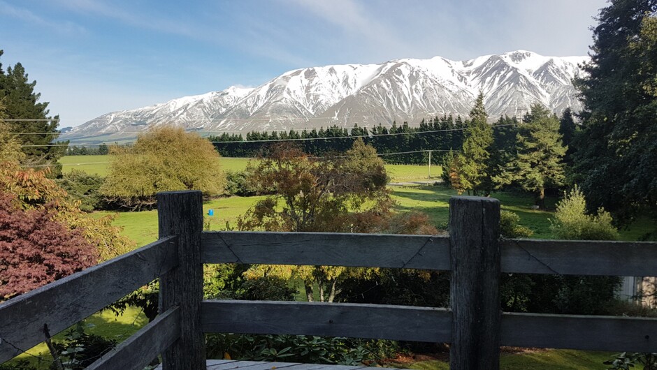 View across to Mount Hutt from in the garden.