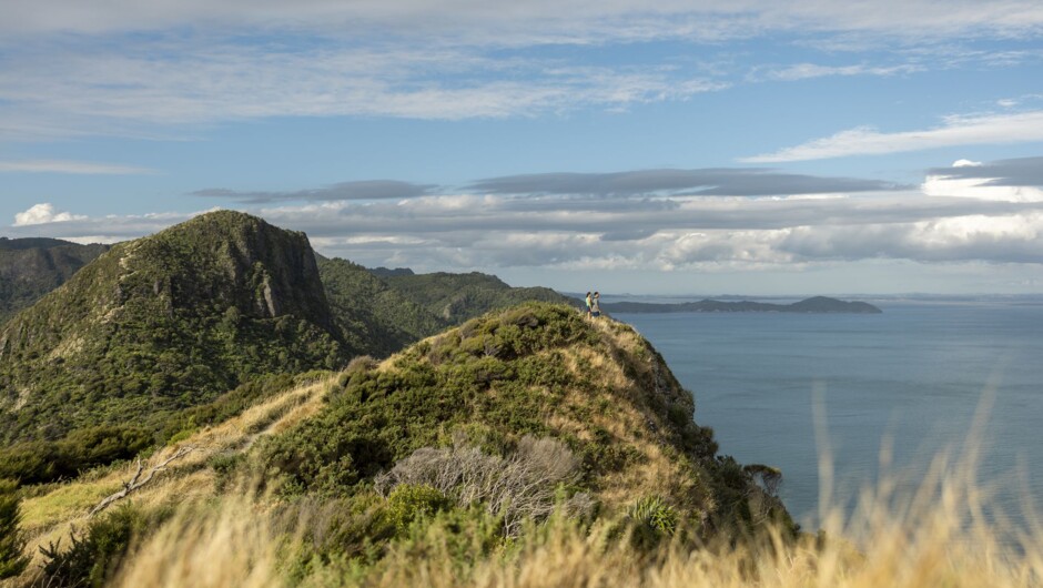 Waitakere Ranges, Auckland