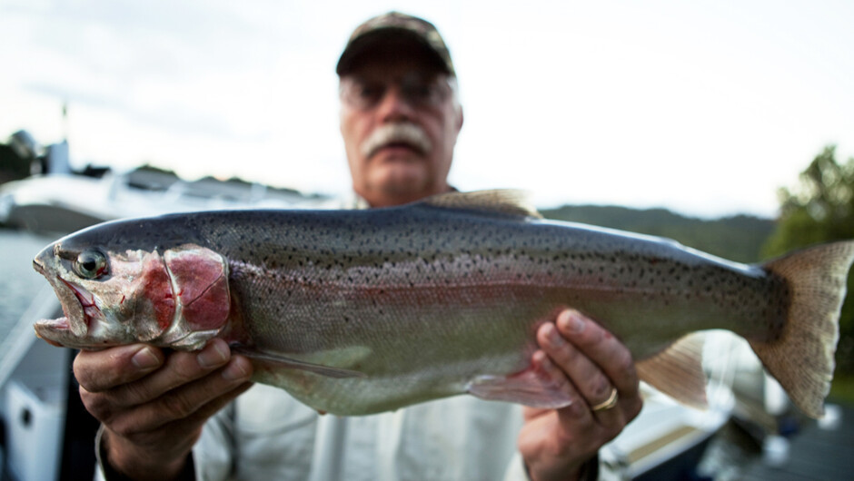 Trouphy Trout