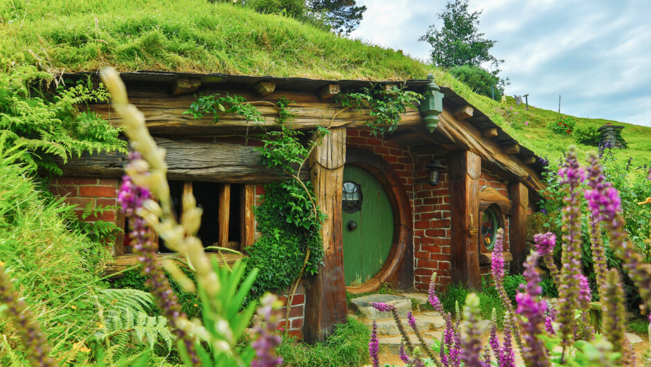 Intrepid Travel - Hobbiton