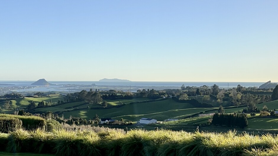 Commanding Panoramic Bay of Plenty views
