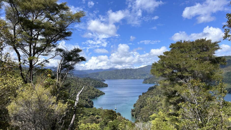 Queen Charlotte Sound
