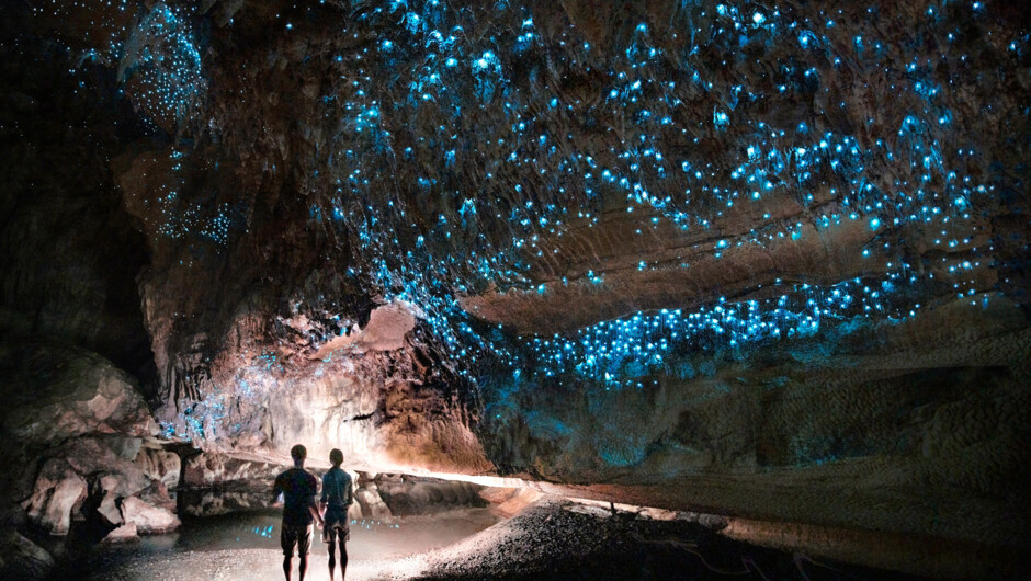 Waitomo Glowworm Caves