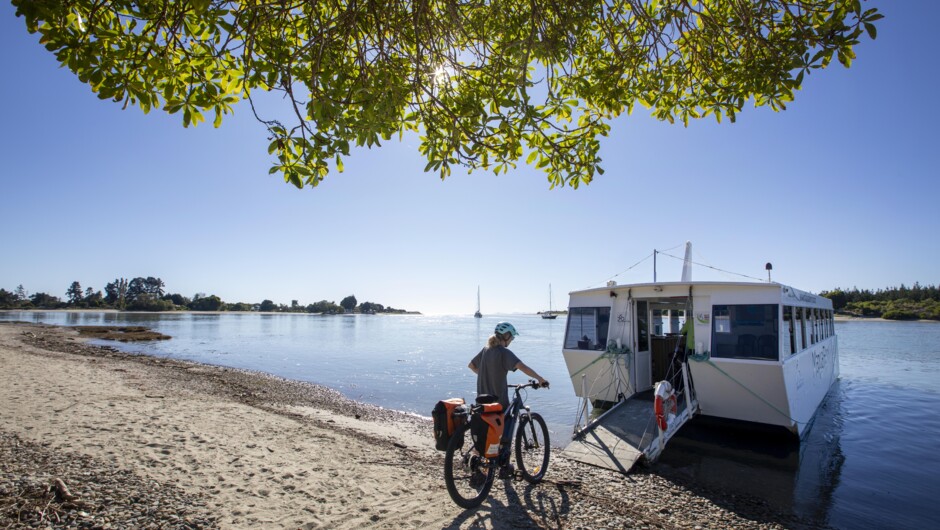 Māpua Ferry ride