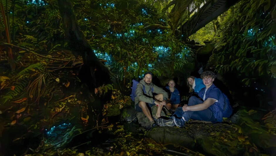 Auckland Glowworm Tour
