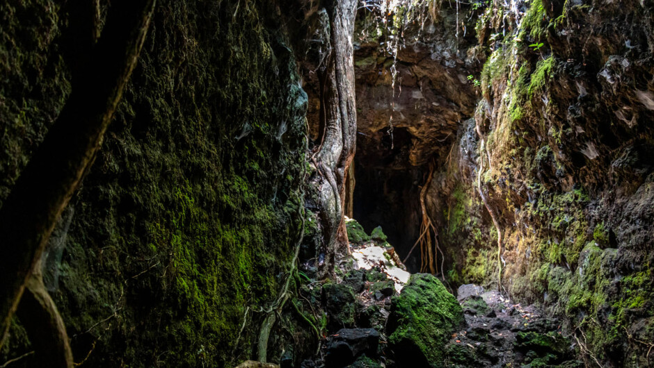 Lava Caves Auckland
