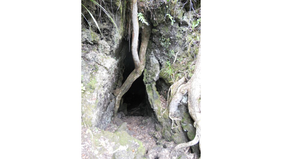 Lava Caves Auckland