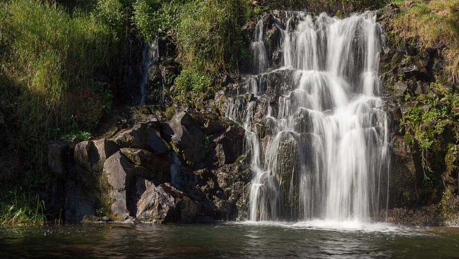 Auckland Waterfalls