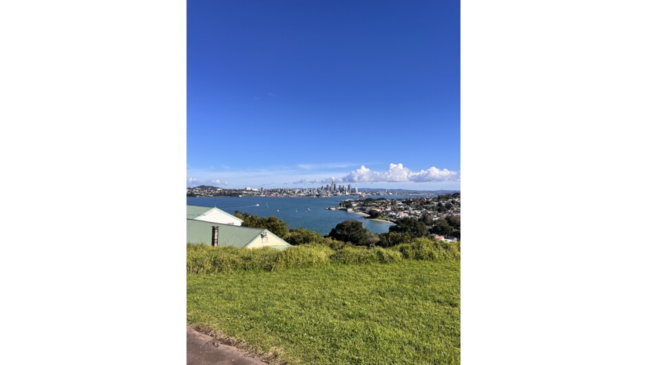 Auckland Sightseeing Tour