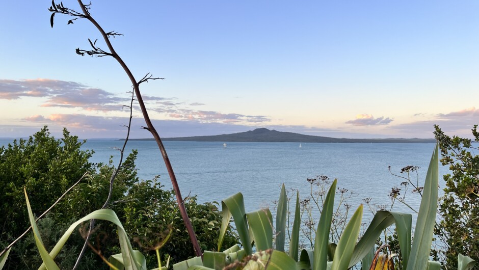 Auckland Sightseeing Tour