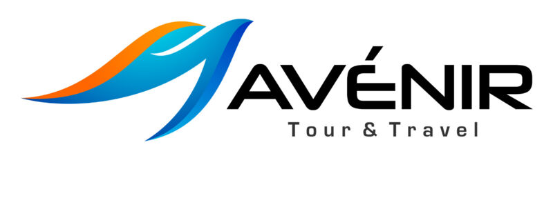 avenir-logo-white.png