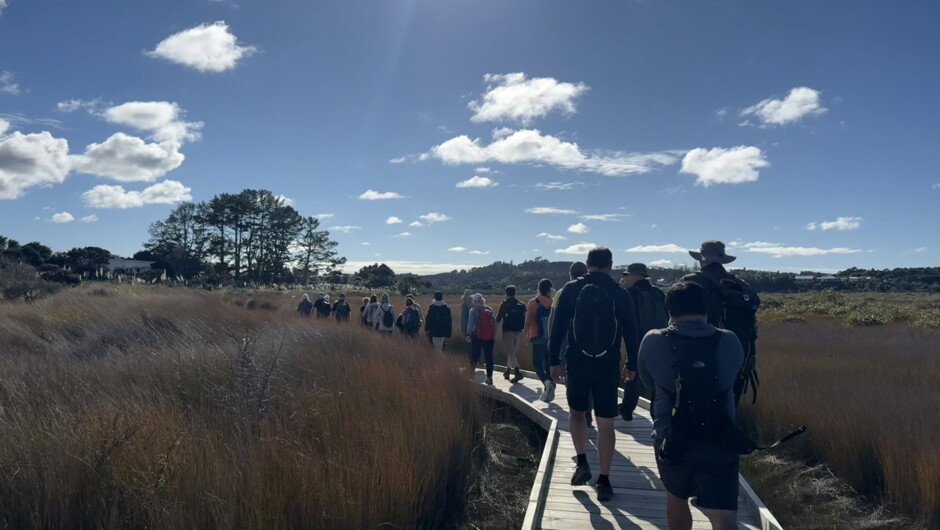 Mangawhai Boardwalks