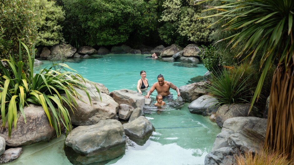 Rock pools set in a stunning New Zealand native plants setting.