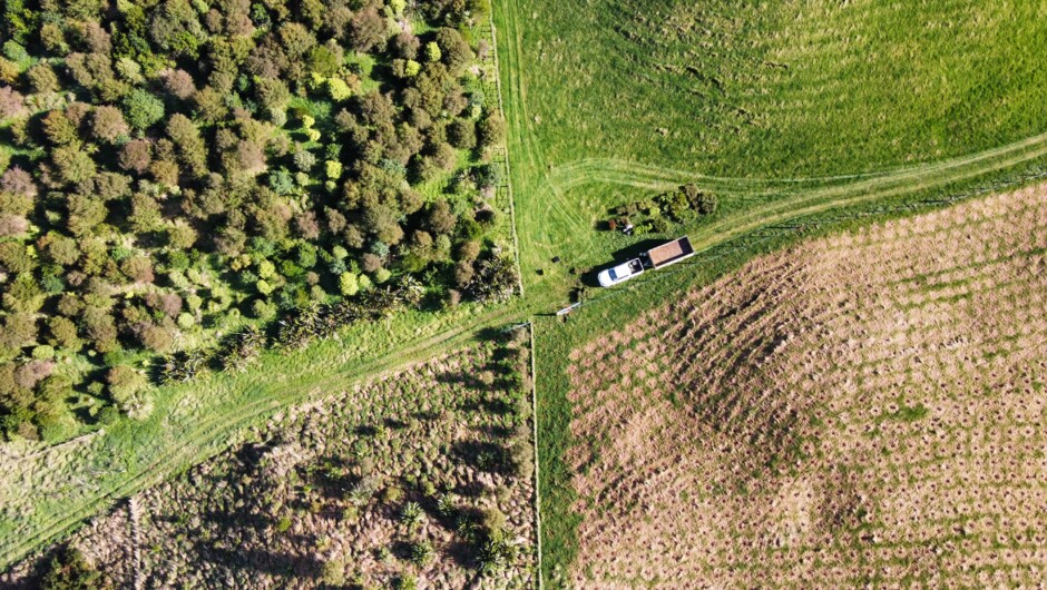 Tourism helping support native forest restoration project on family farm