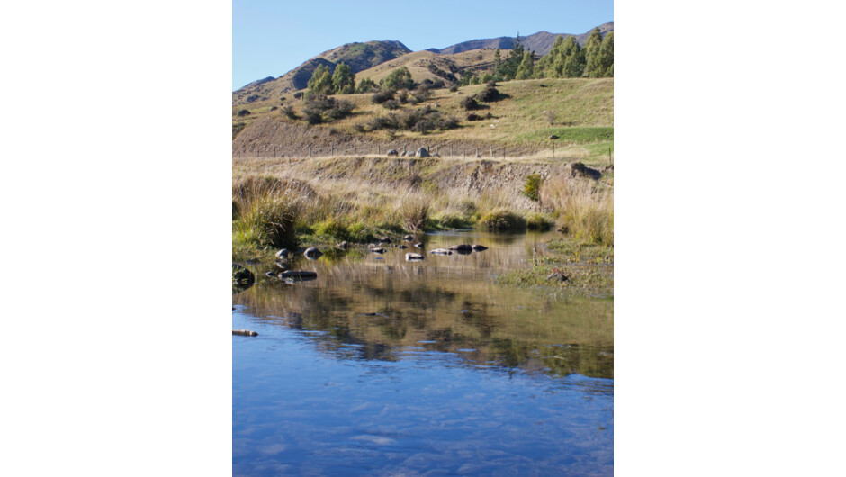 The tranquil river flowing through Wildwood Estate