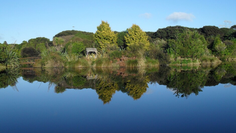 The beautiful setting of Ngā Manu