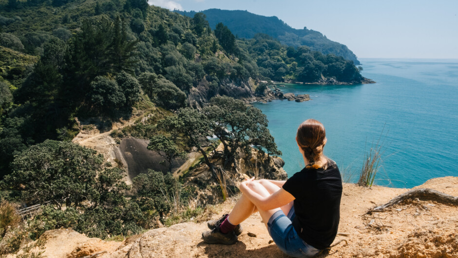 Luxury Coromandel walking tour