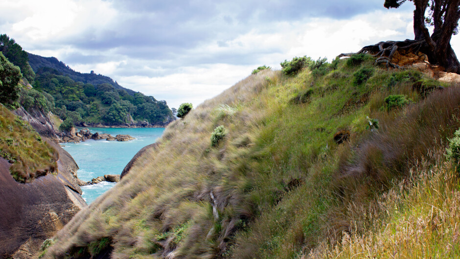 Stunning coastal views