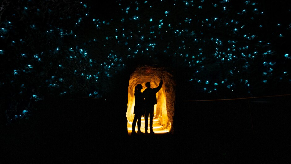 Inside the glowworm dome