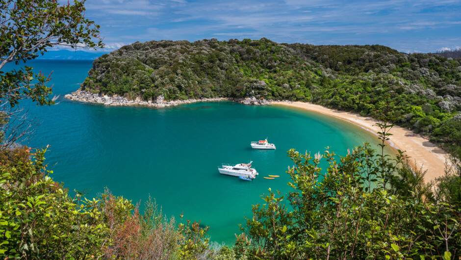 Explore the Abel Tasman in your own way aboard one of our comfortable charter boats. A special day to remember.