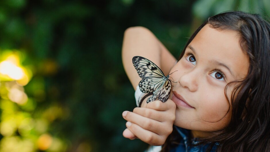 Come nose to nose with a butterfly
