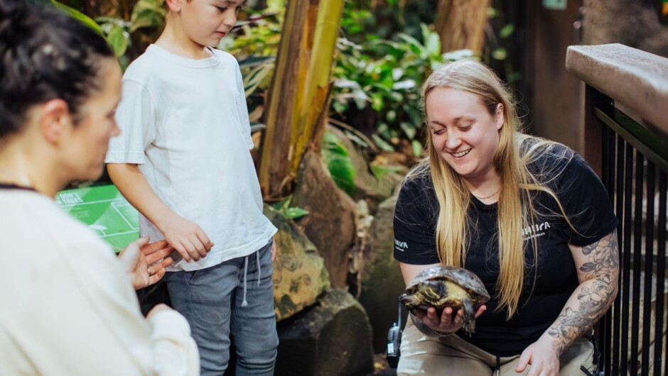 Animal encounters