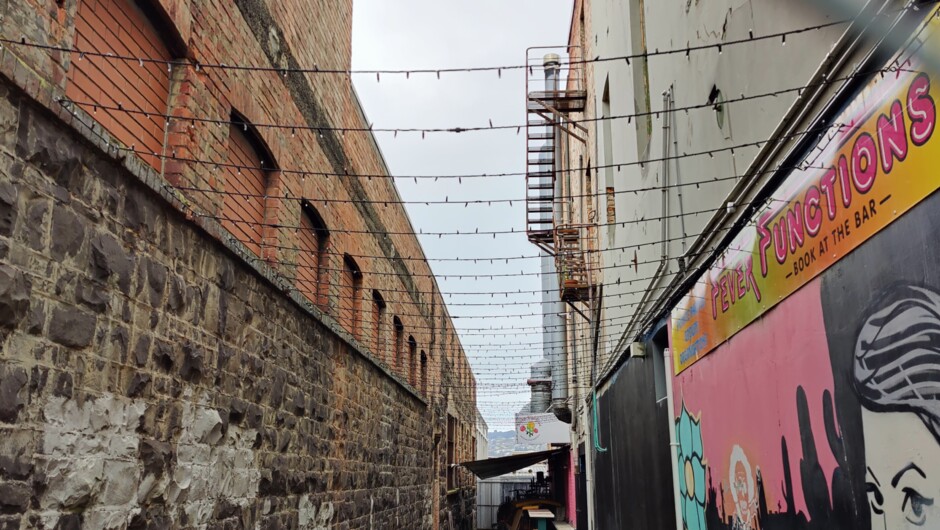 Dunedin is full of little alleys like this one where nothing good happens.