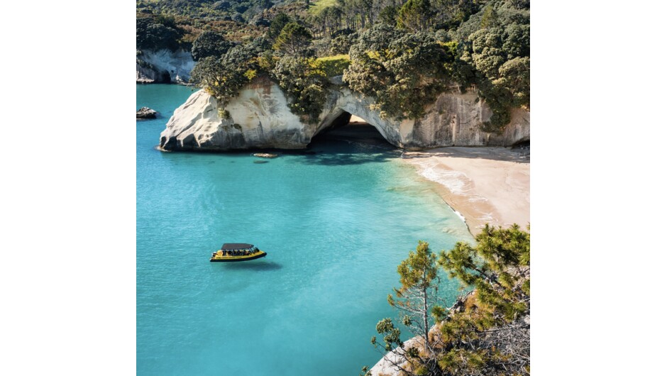 Cathedral Cove