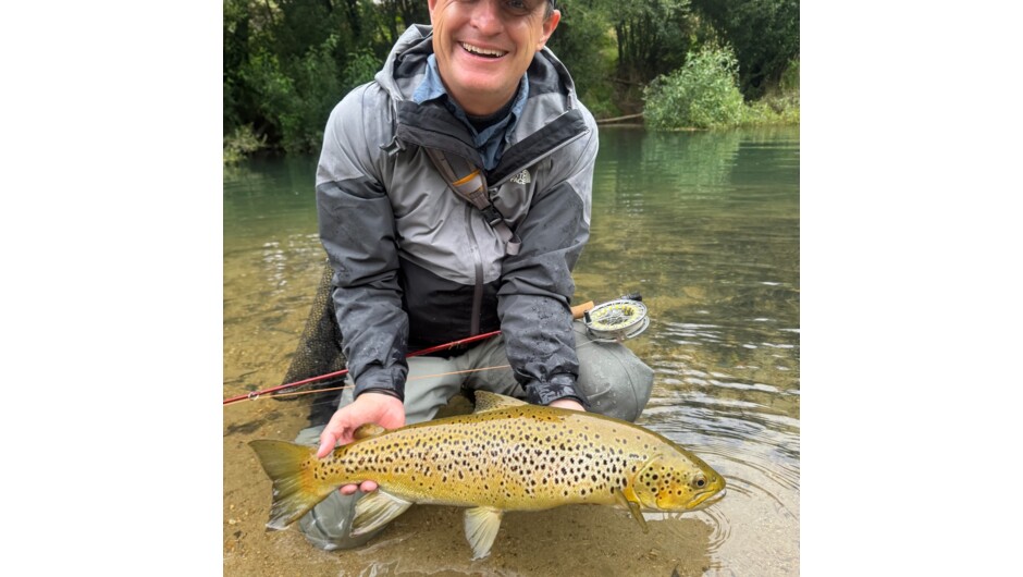 Brown Trout