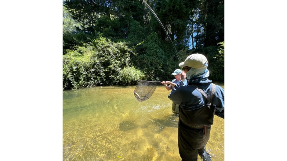 Small stream sight fishing