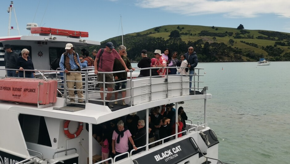 Baj New Zealand