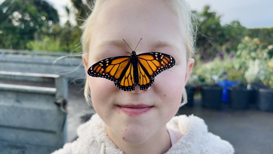 Come and experience the magic of the monarch up close